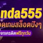 panda555 slot
